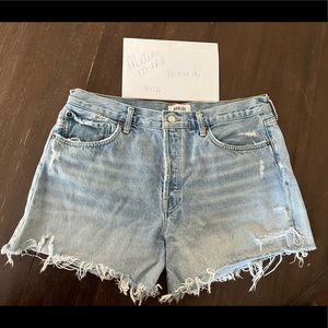 AGOLDE Jean Shorts in Swapmeet! Size 32 NWOT